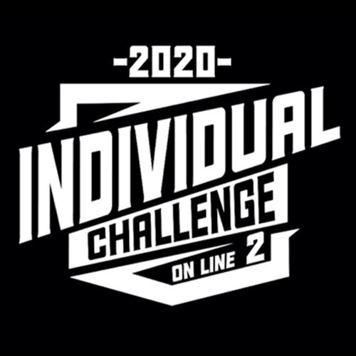 Individual Challenge 2
